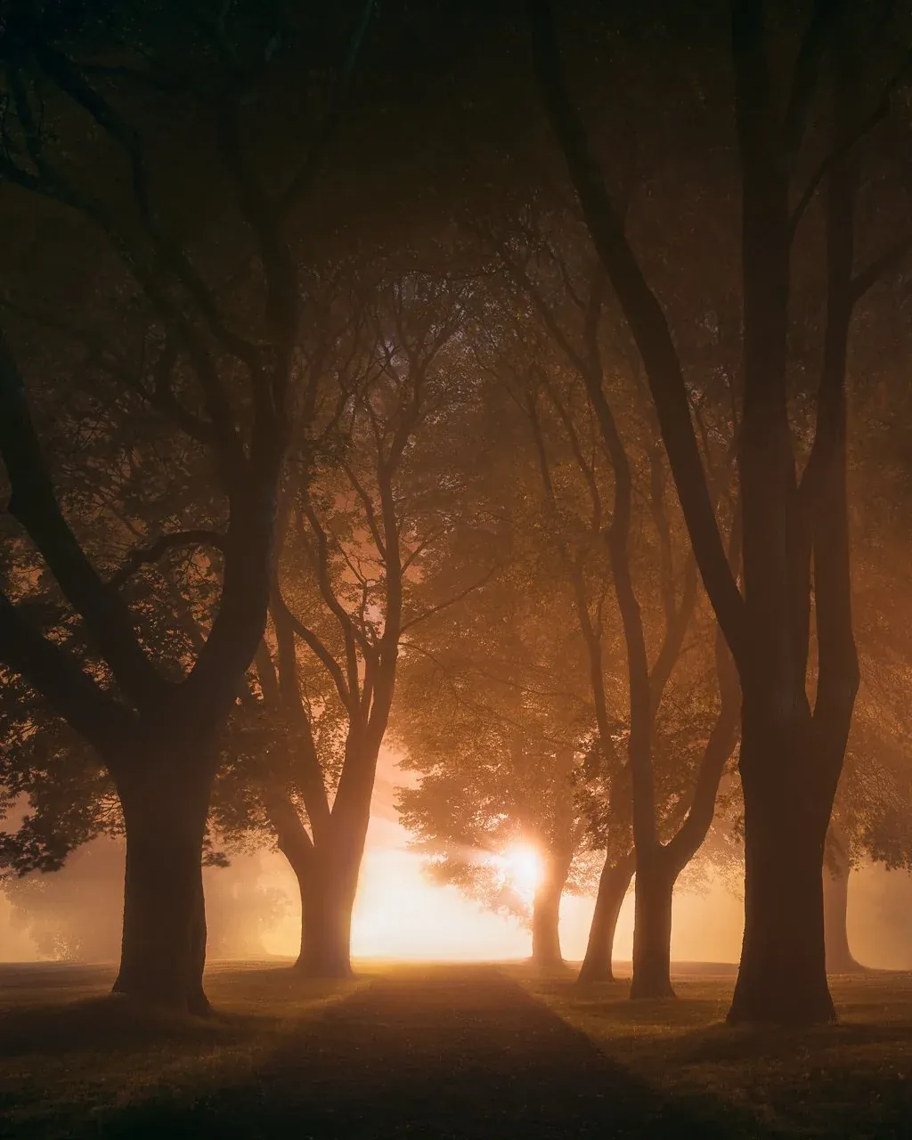 Mikko Lagerstedt – Walking into a dream – Turku, Finland 2021