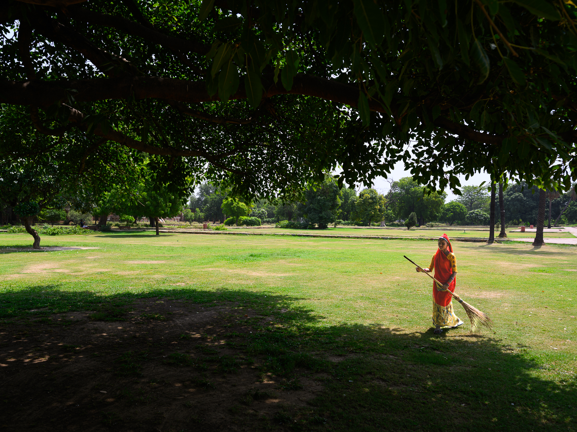 A woman in red crosses a broad lawn with a broom beneath the dark canopy of a large tree.