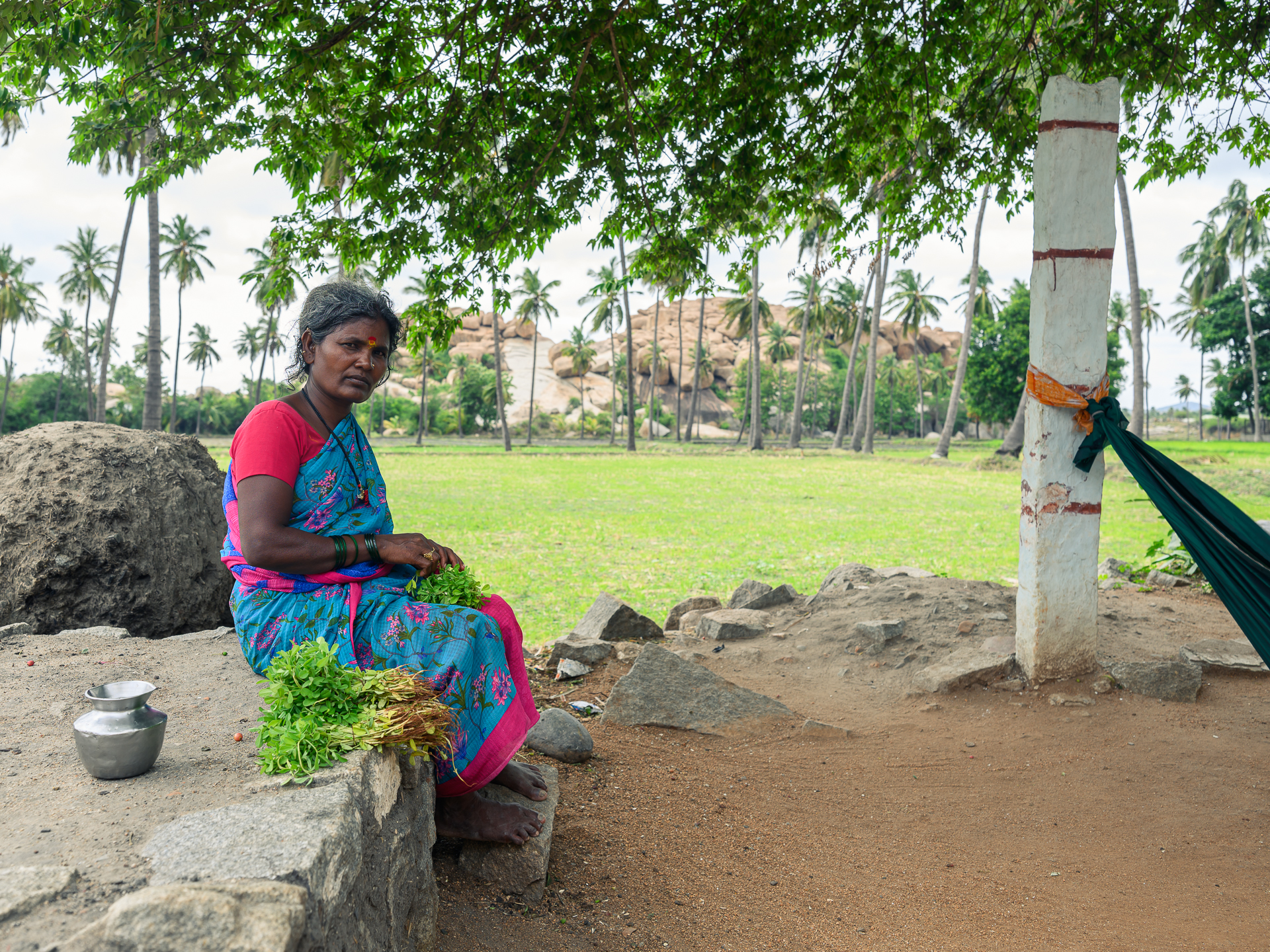 A woman in a blue and pink sari sits with fresh greens beneath a tree beside open fields.