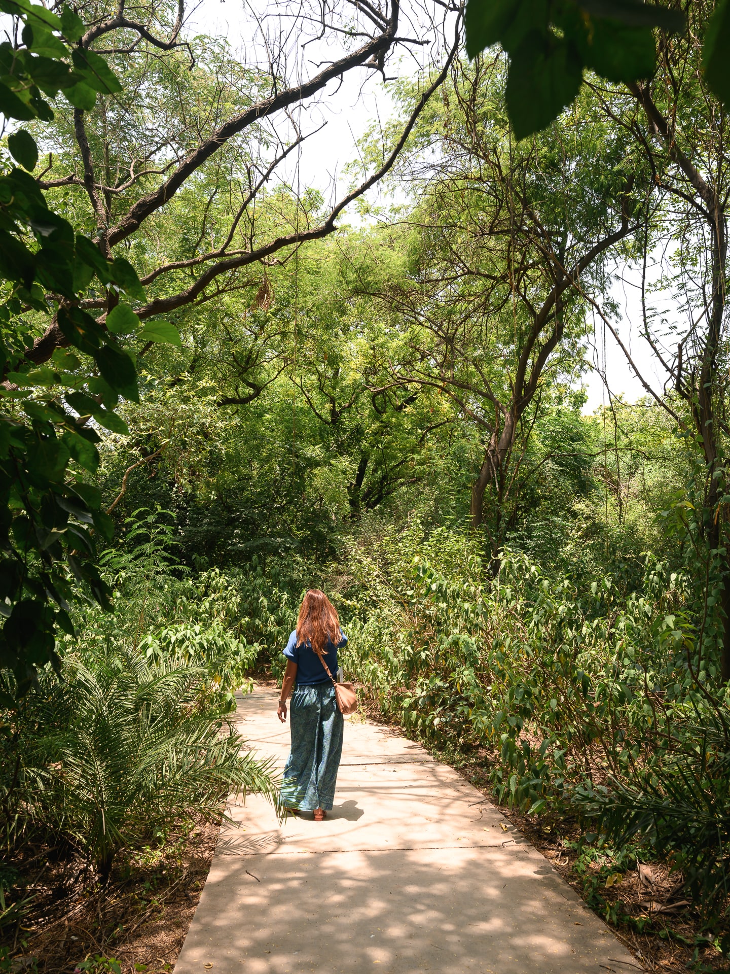 A person walks away along a narrow stone path through dense green trees and undergrowth.