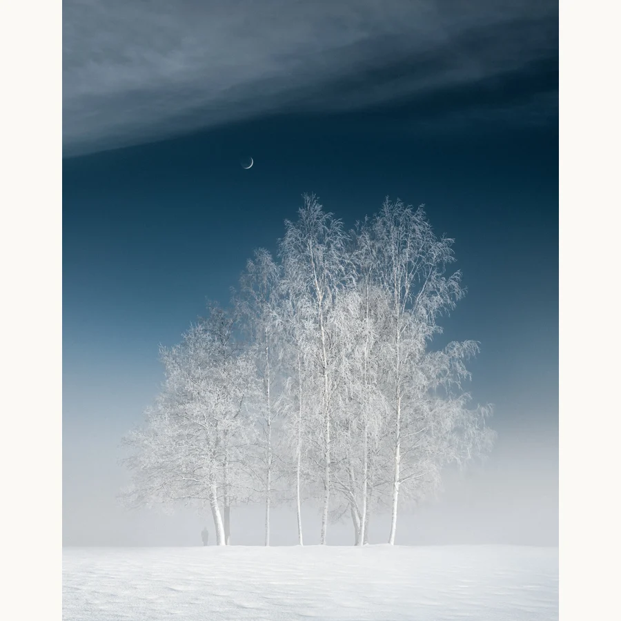 Cold Mist, a licensing image by Mikko Lagerstedt