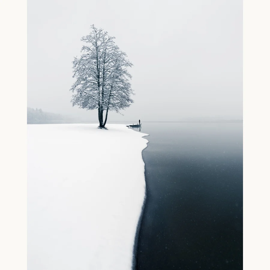 First Snow, a licensing image by Mikko Lagerstedt