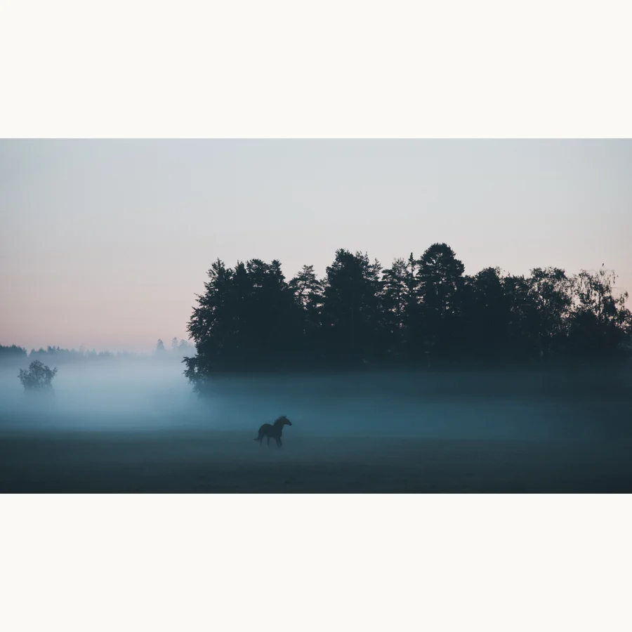 Free Spirit, a licensing image by Mikko Lagerstedt