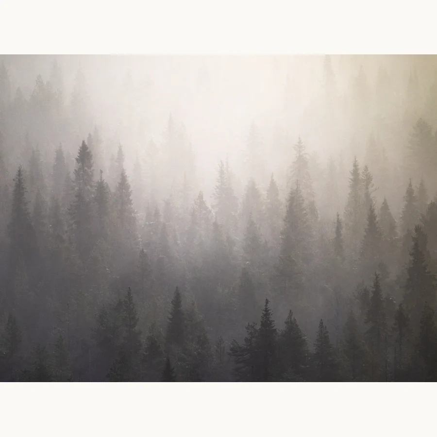 Harmonia, a licensing image by Mikko Lagerstedt