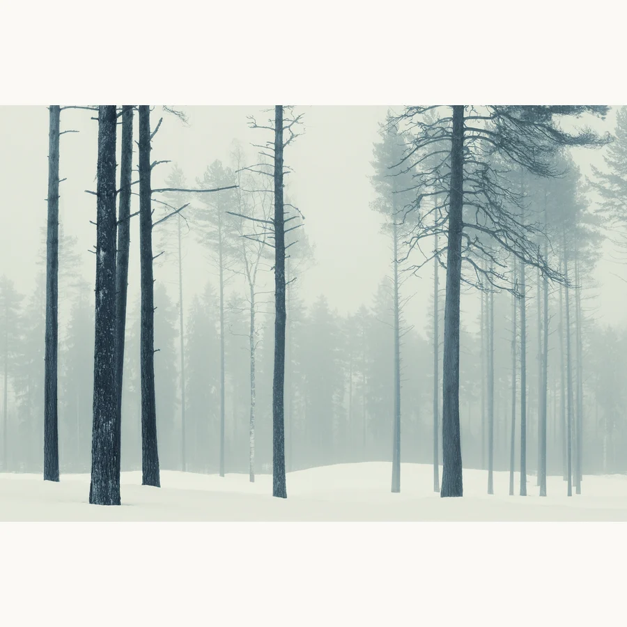 Harmony, a licensing image by Mikko Lagerstedt