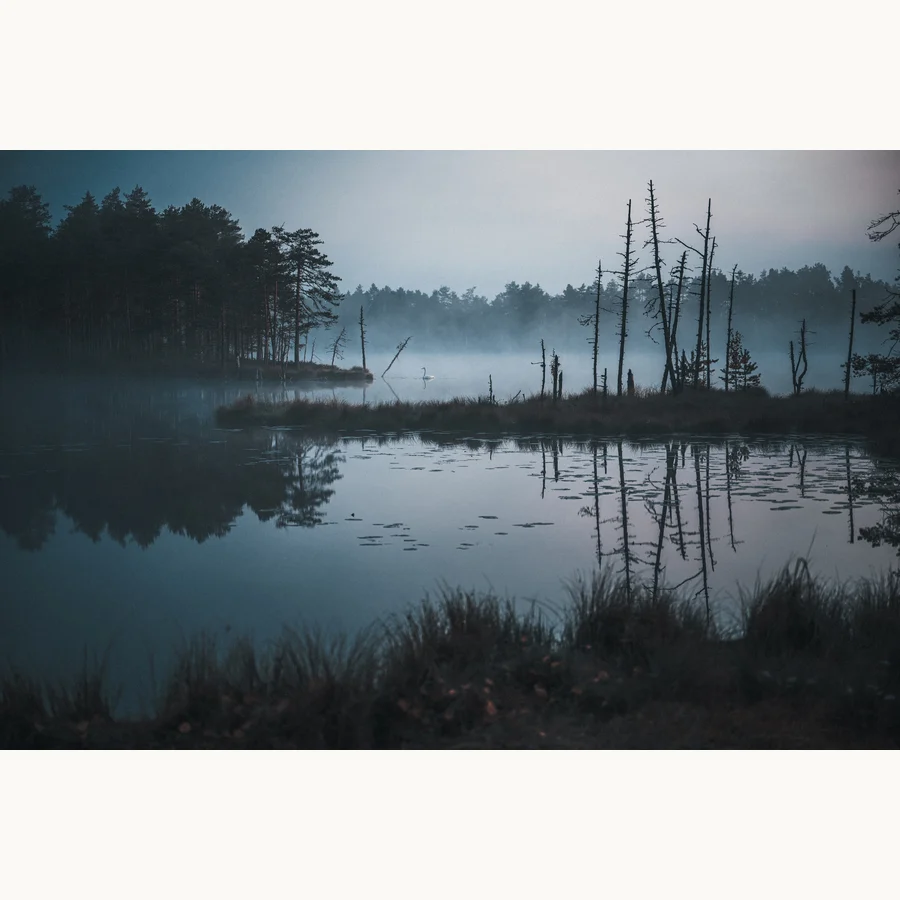 In The Shadows, a licensing image by Mikko Lagerstedt