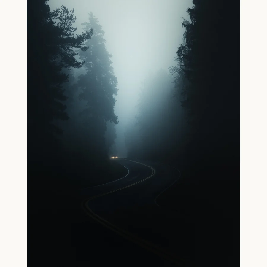 Journey, a licensing image by Mikko Lagerstedt