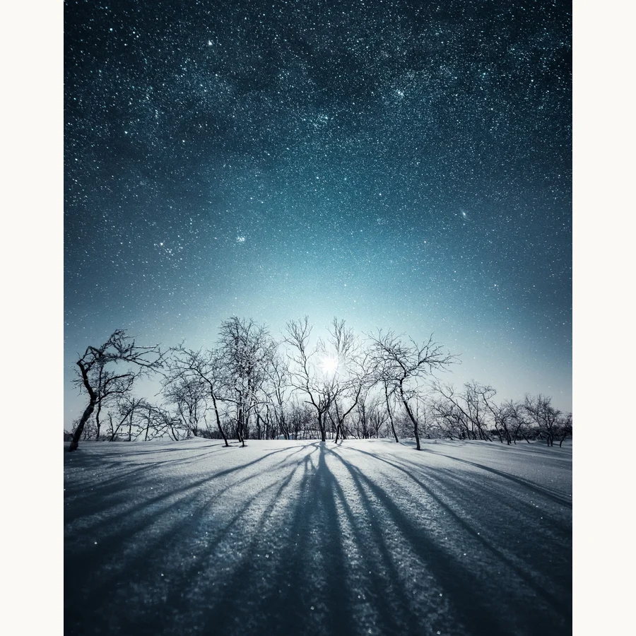 Long Shadows, a licensing image by Mikko Lagerstedt