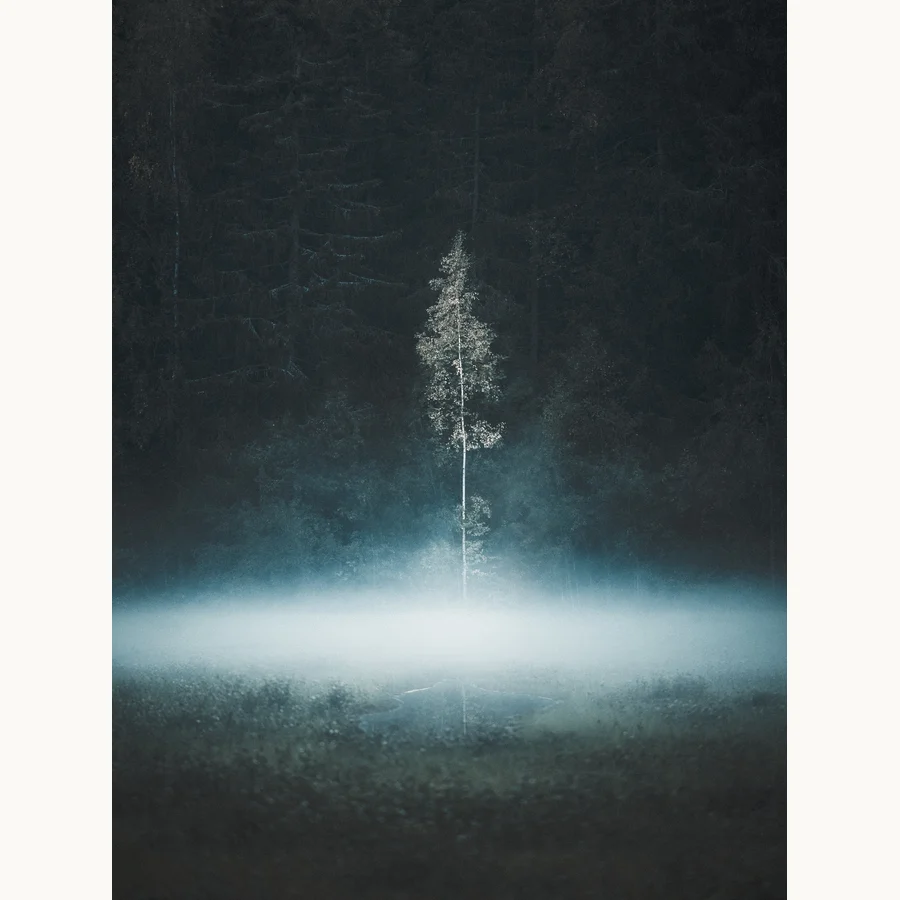 Quiet Solitude, a licensing image by Mikko Lagerstedt