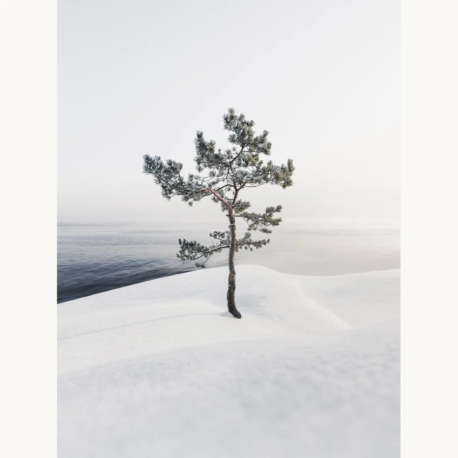 Resilience, a licensing image by Mikko Lagerstedt