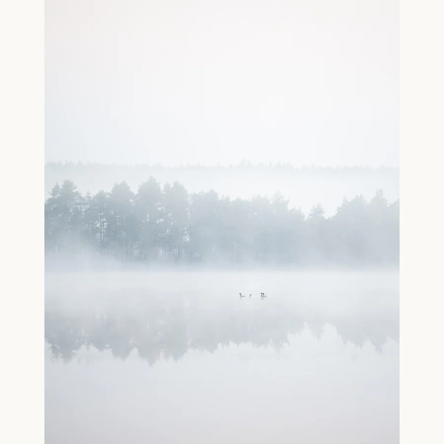 Silent Journey, a licensing image by Mikko Lagerstedt