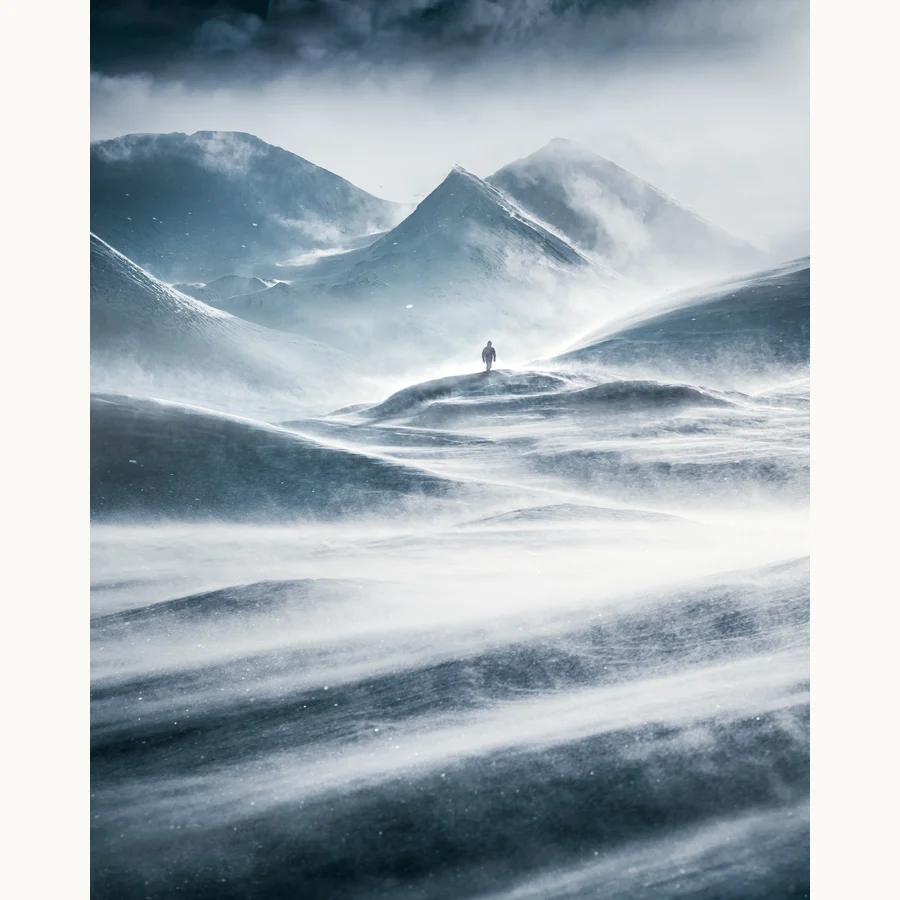 Windswept, a licensing image by Mikko Lagerstedt