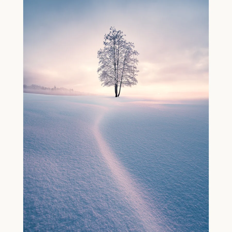 Winter Solitude, a licensing image by Mikko Lagerstedt