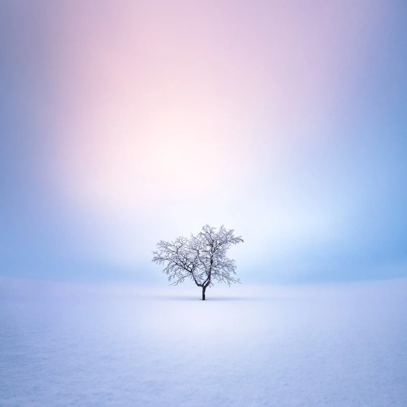 Minimal snowy landscape with restrained tones and clear negative space