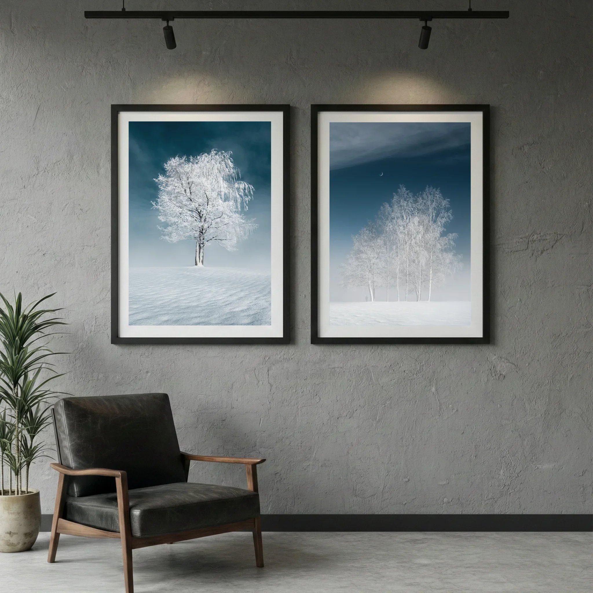 Consistent visual language in framed photography