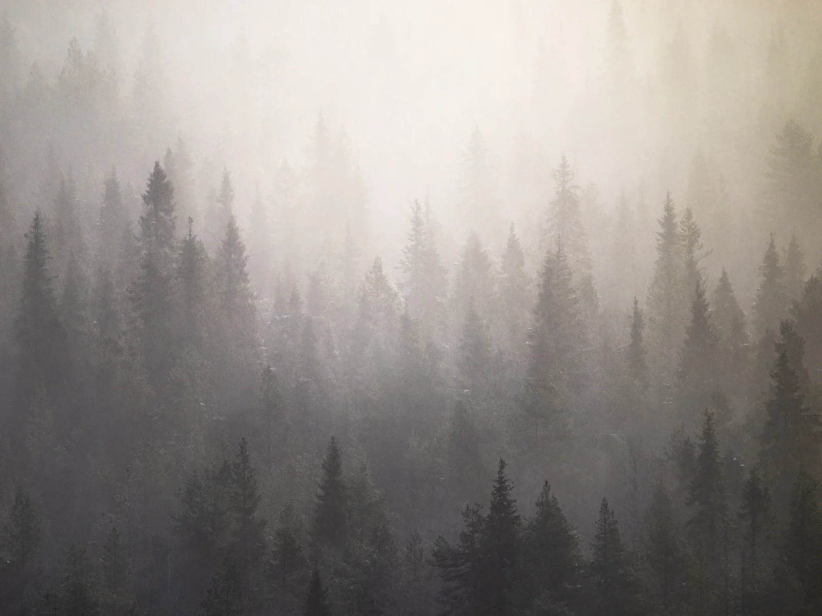 The Art of Silence. How to Create Minimalist Landscape Photos