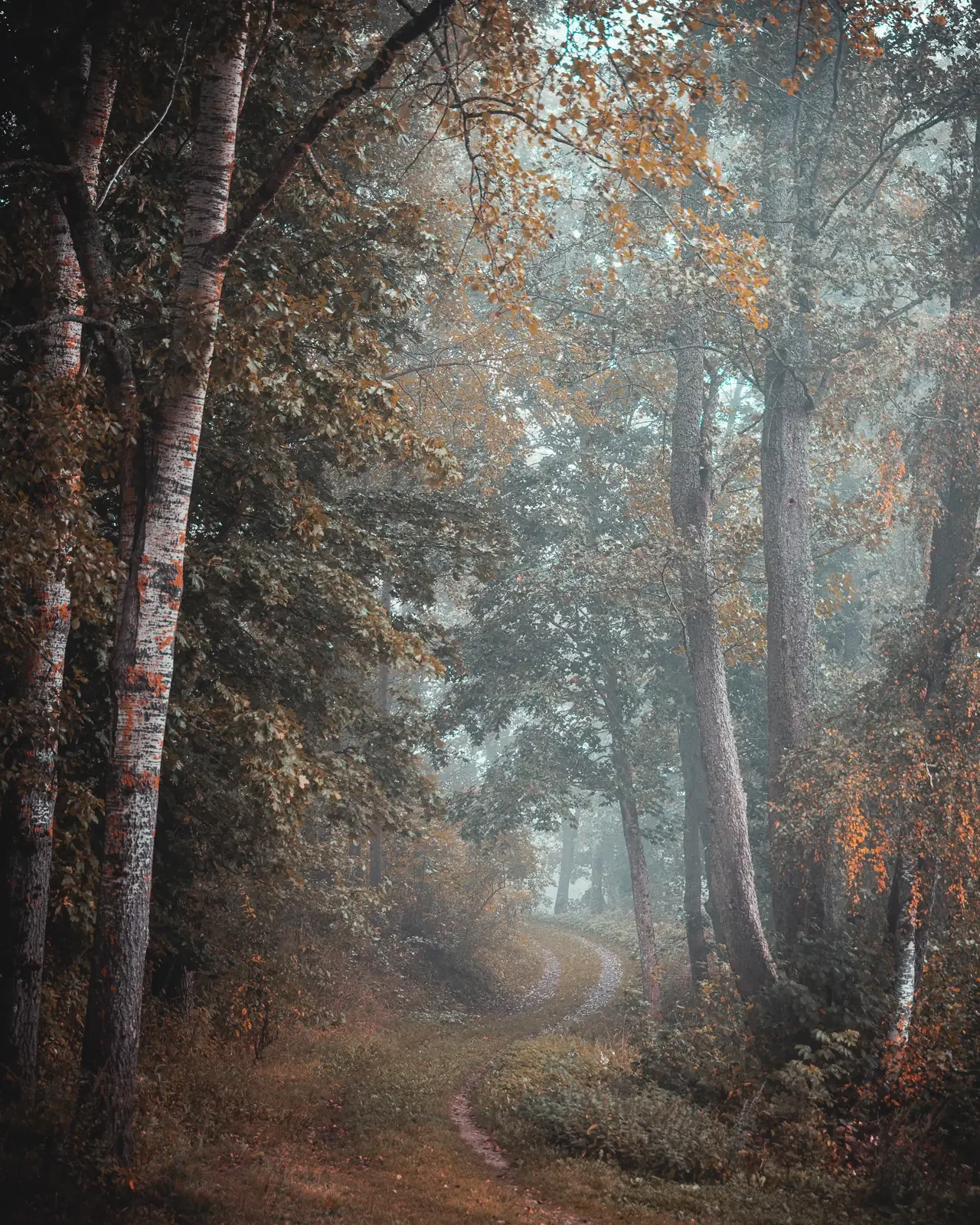 After edit example two