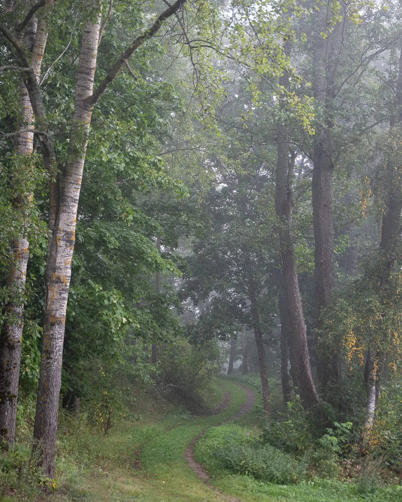 Before edit example two