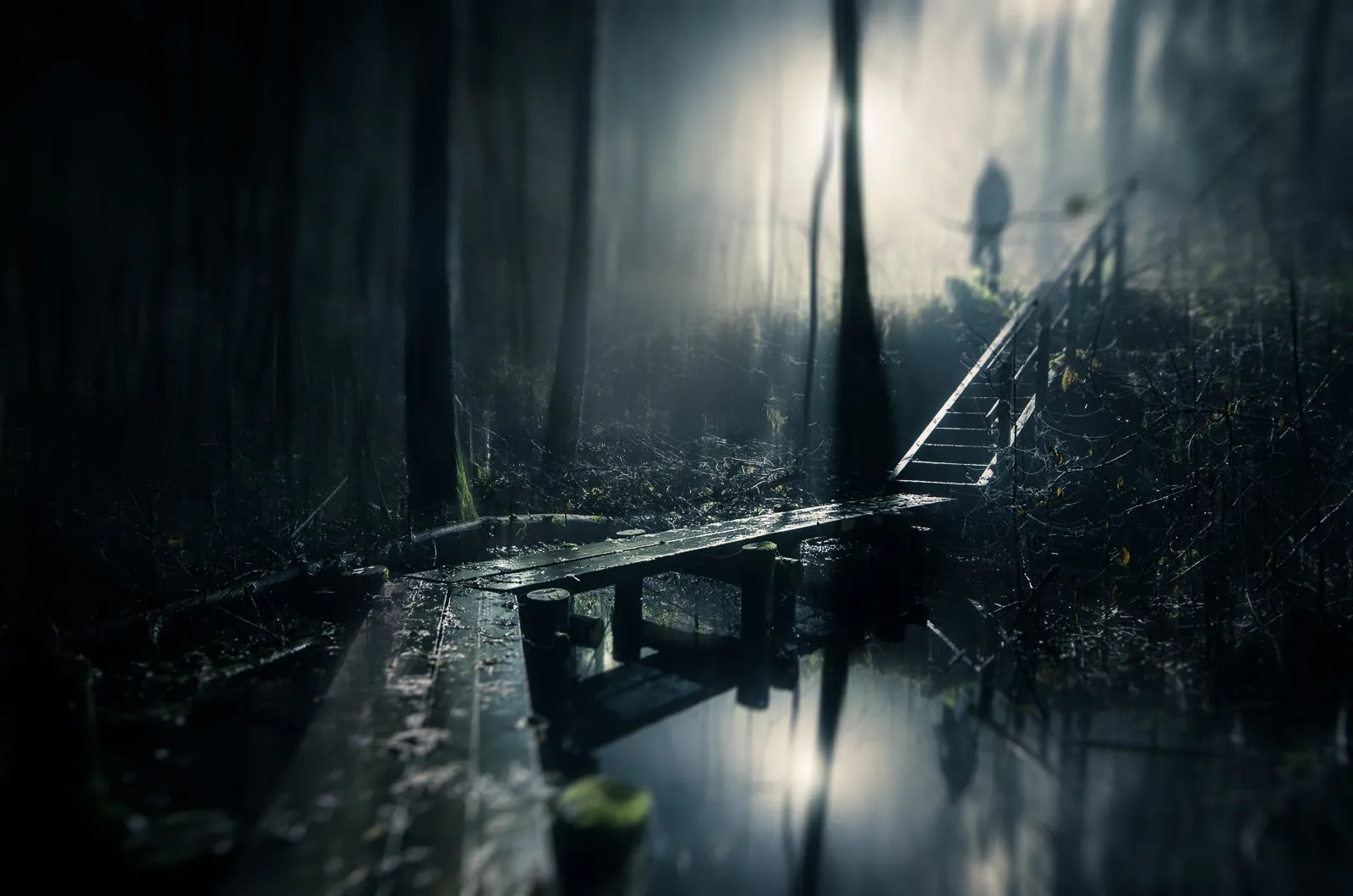 Strange Ways, a dreamlike composite landscape from the Dream collection by Mikko Lagerstedt.