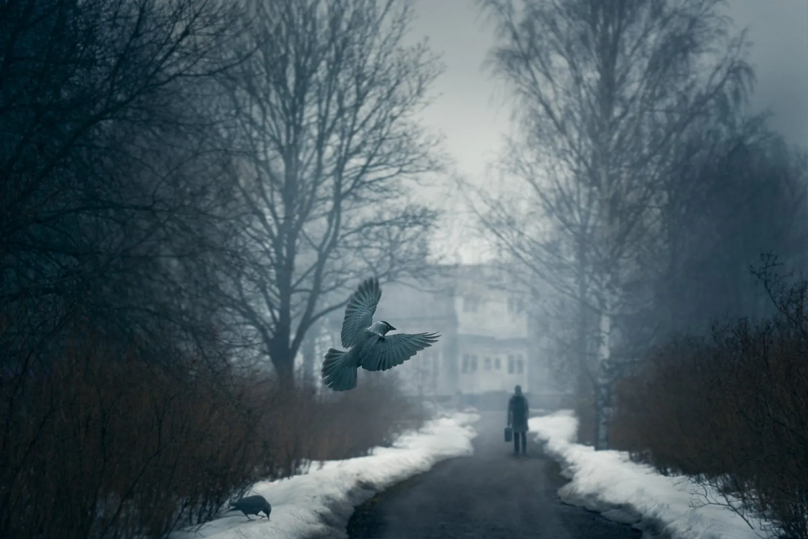 Dark Times, a dreamlike composite landscape from the Dream collection by Mikko Lagerstedt.