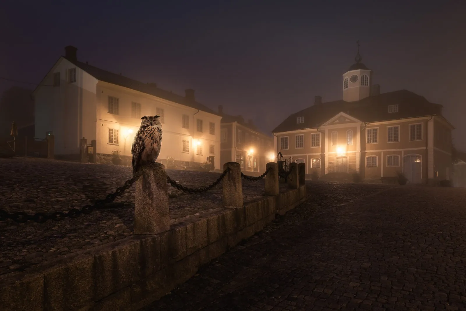 Night Animals: Owl, a dreamlike composite landscape from the Dream collection by Mikko Lagerstedt.