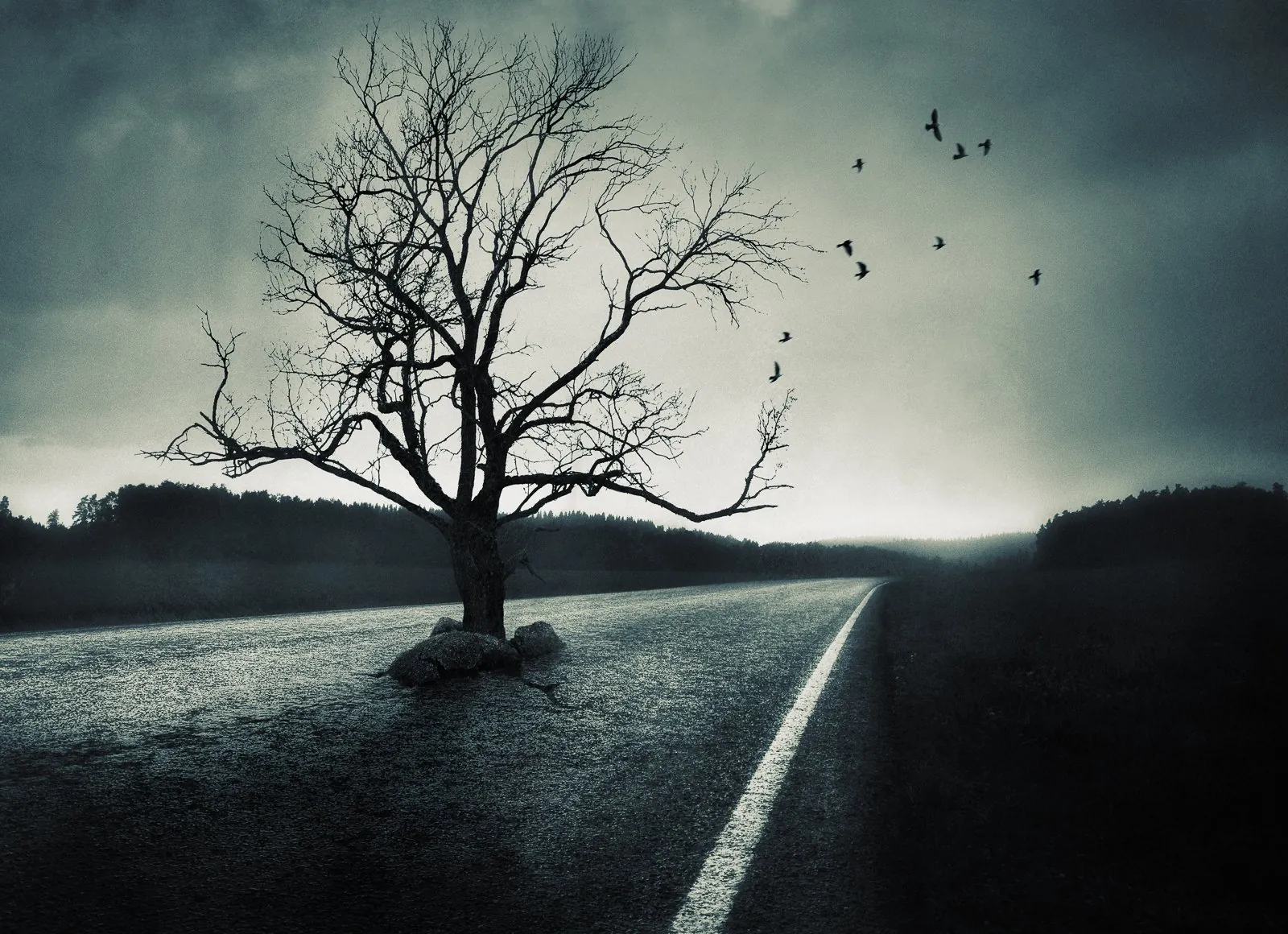 Detour, a dreamlike composite landscape from the Dream collection by Mikko Lagerstedt.