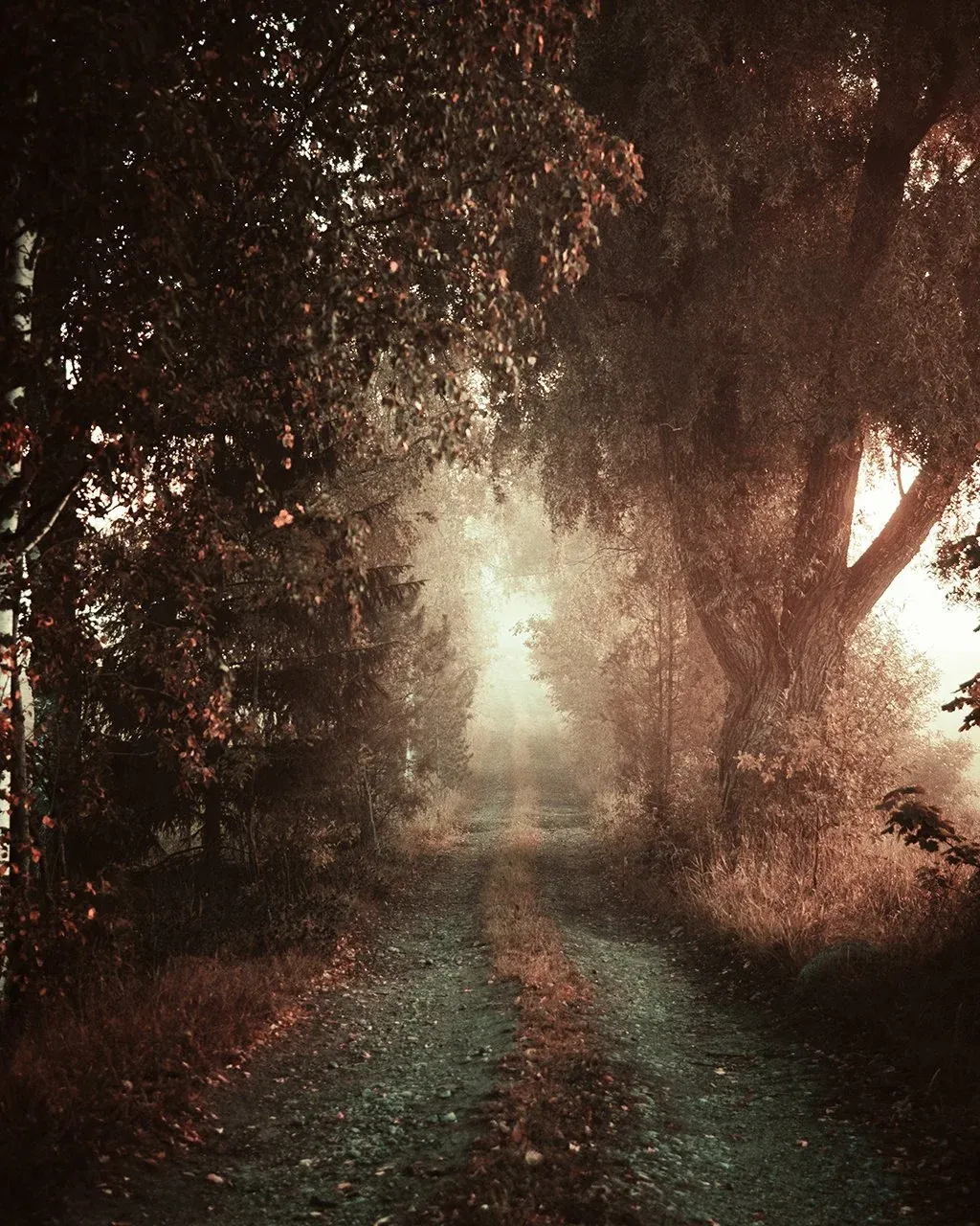 After edit of an atmospheric landscape using the EPIC system