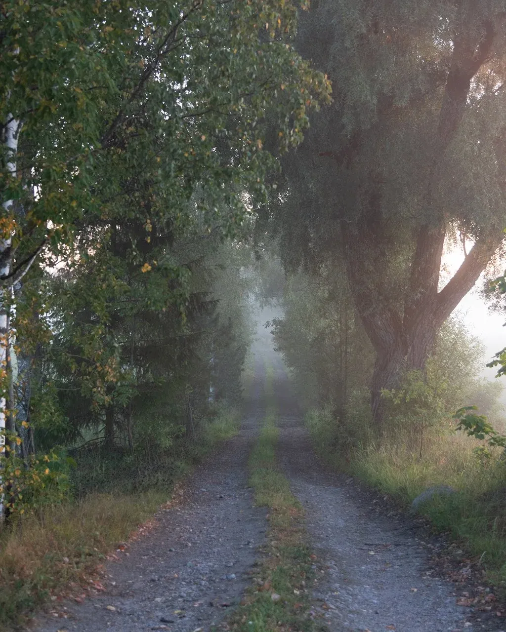 Before edit of an atmospheric landscape using the EPIC system