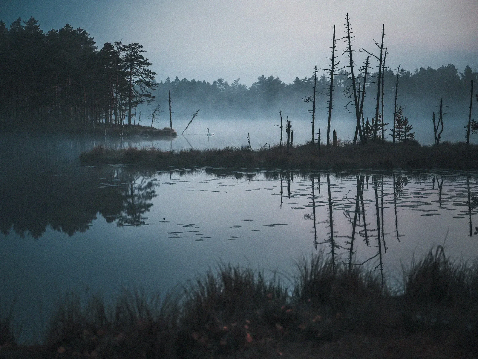 Elegance in the Mist, a minimal fine art landscape photograph from the Harmonia collection by Mikko Lagerstedt.