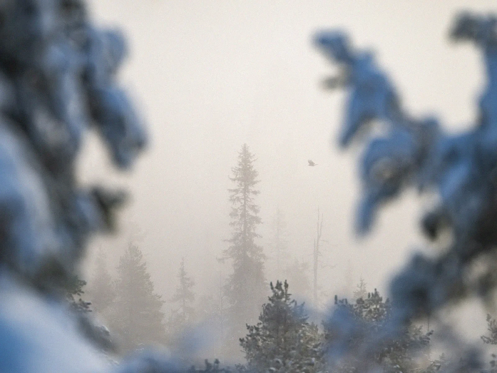 Frozen in Time, a minimal fine art landscape photograph from the Harmonia collection by Mikko Lagerstedt.