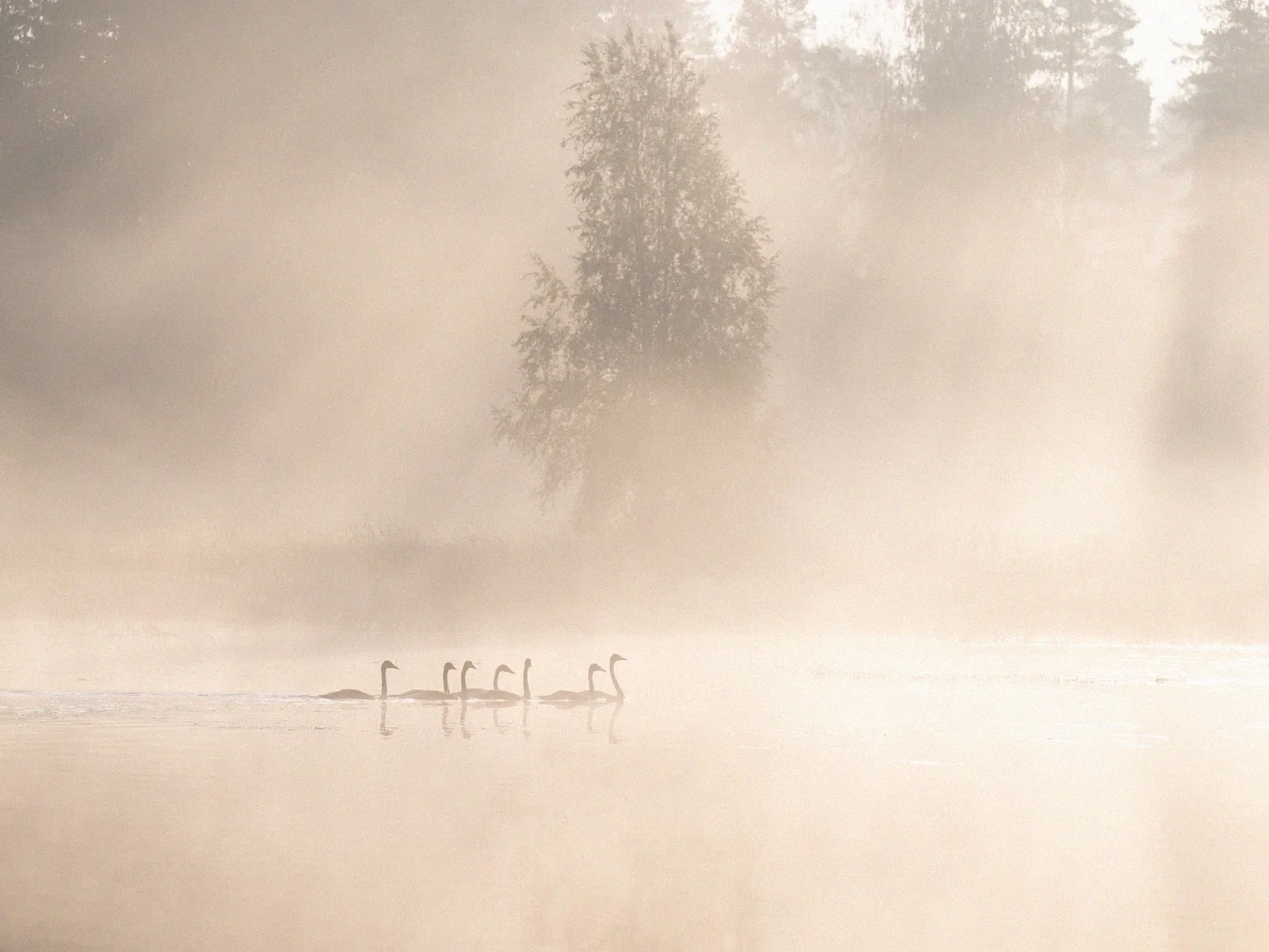 Morning Serenade, a minimal fine art landscape photograph from the Harmonia collection by Mikko Lagerstedt.