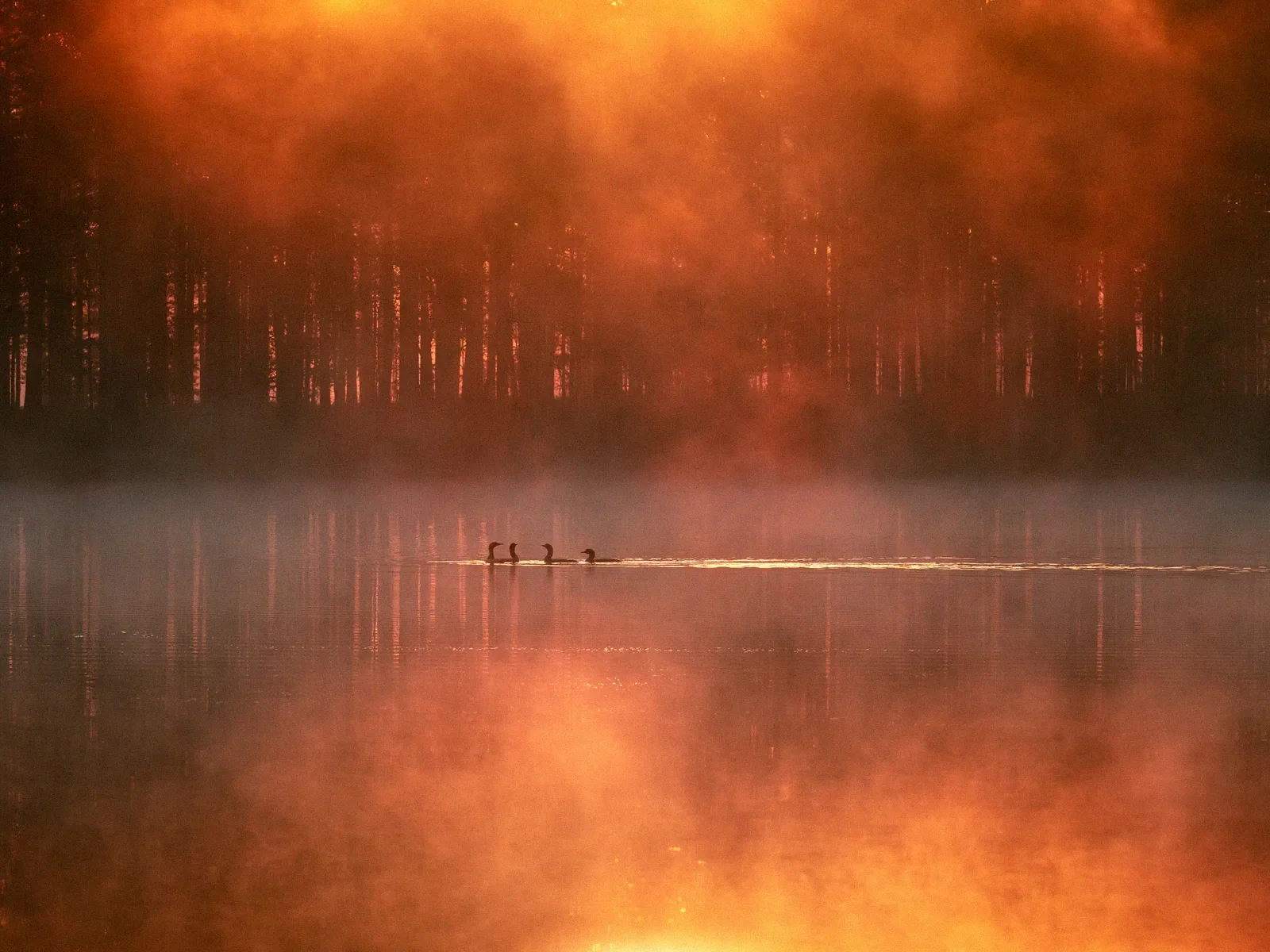 Quiet Dance of a Morning, a minimal fine art landscape photograph from the Harmonia collection by Mikko Lagerstedt.