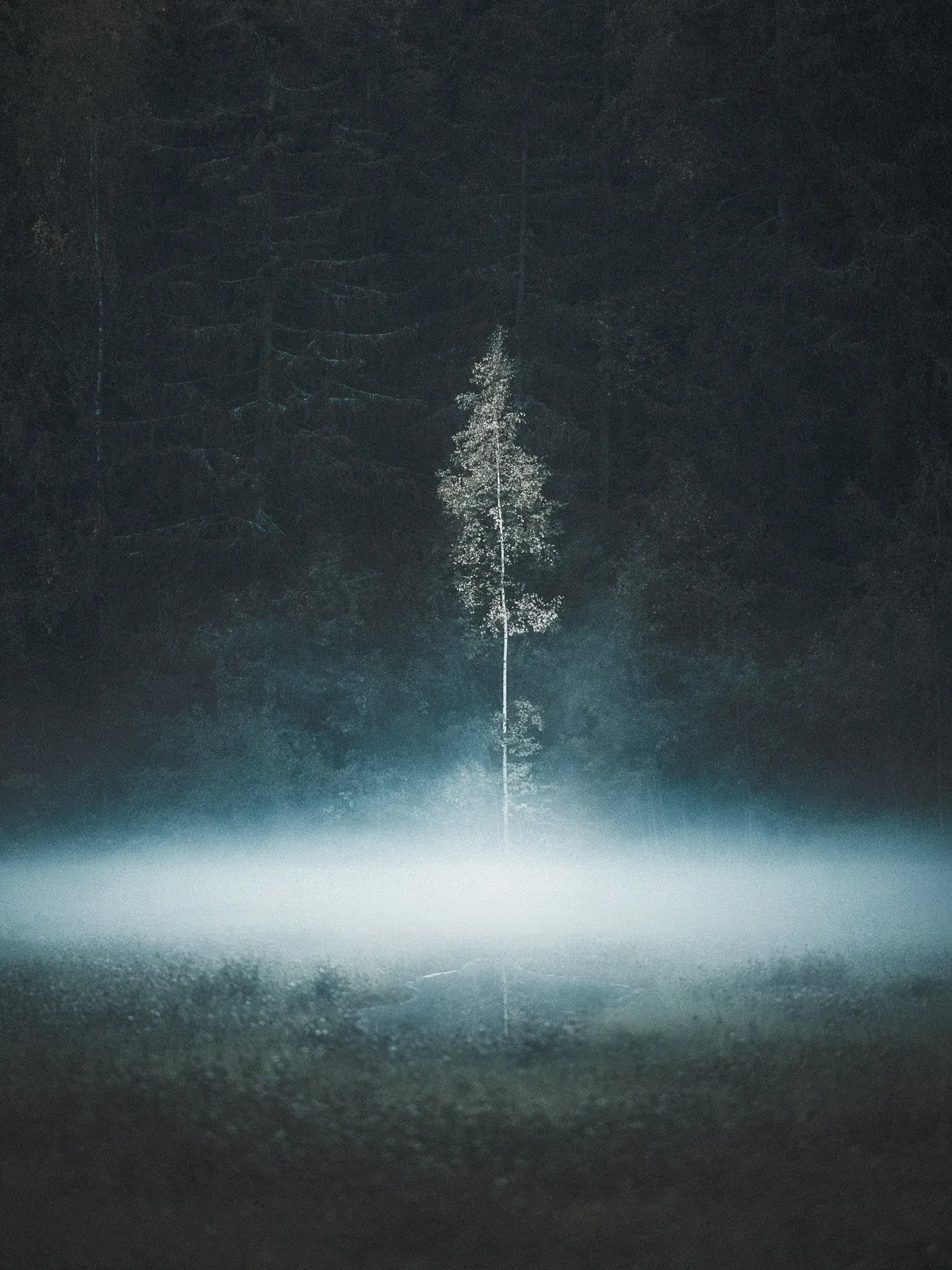Quiet Solitude, a minimal fine art landscape photograph from the Harmonia collection by Mikko Lagerstedt.