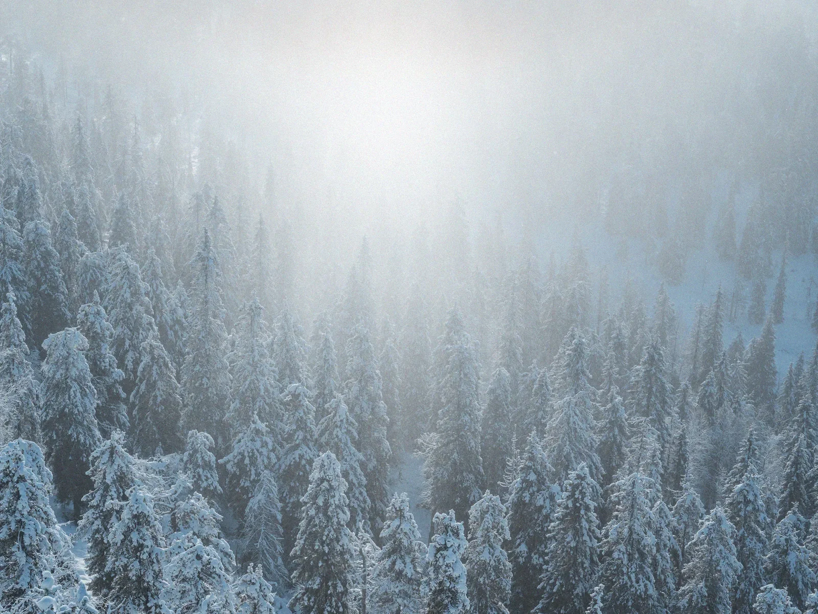 Radiance of Winter, a minimal fine art landscape photograph from the Harmonia collection by Mikko Lagerstedt.