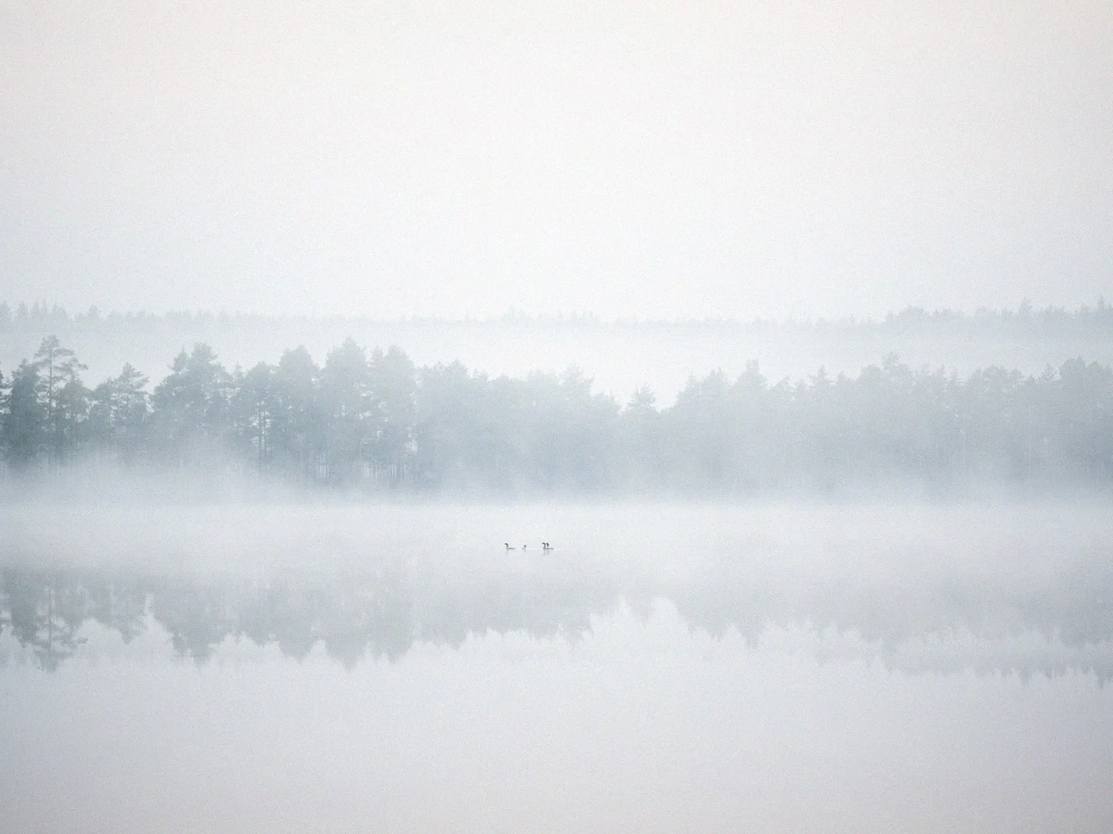 Silent Journey, a minimal fine art landscape photograph from the Harmonia collection by Mikko Lagerstedt.