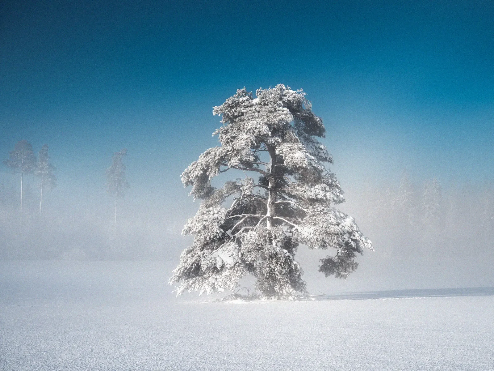 Whispers of Winter, a minimal fine art landscape photograph from the Harmonia collection by Mikko Lagerstedt.