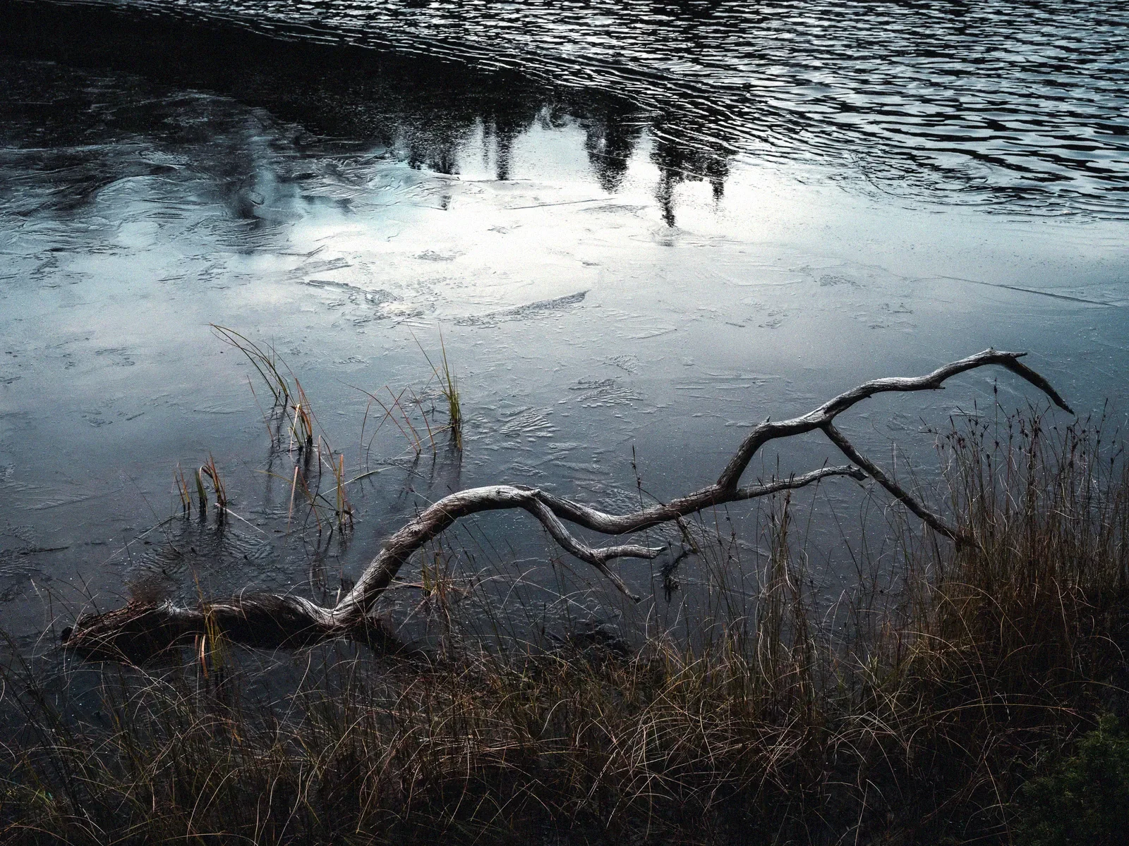 Winter's Grasp, a minimal fine art landscape photograph from the Harmonia collection by Mikko Lagerstedt.