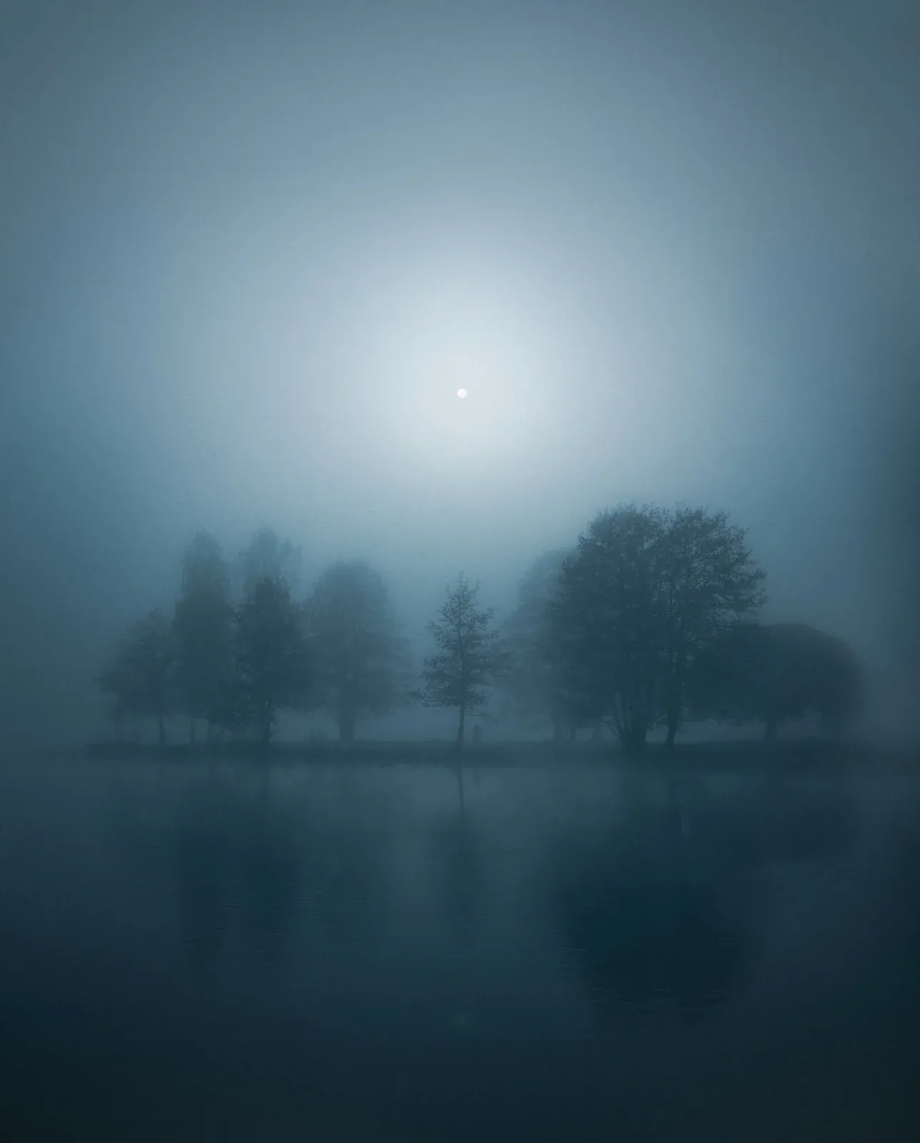 Silence, a quiet nature photograph from the In The Solitude collection by Mikko Lagerstedt.