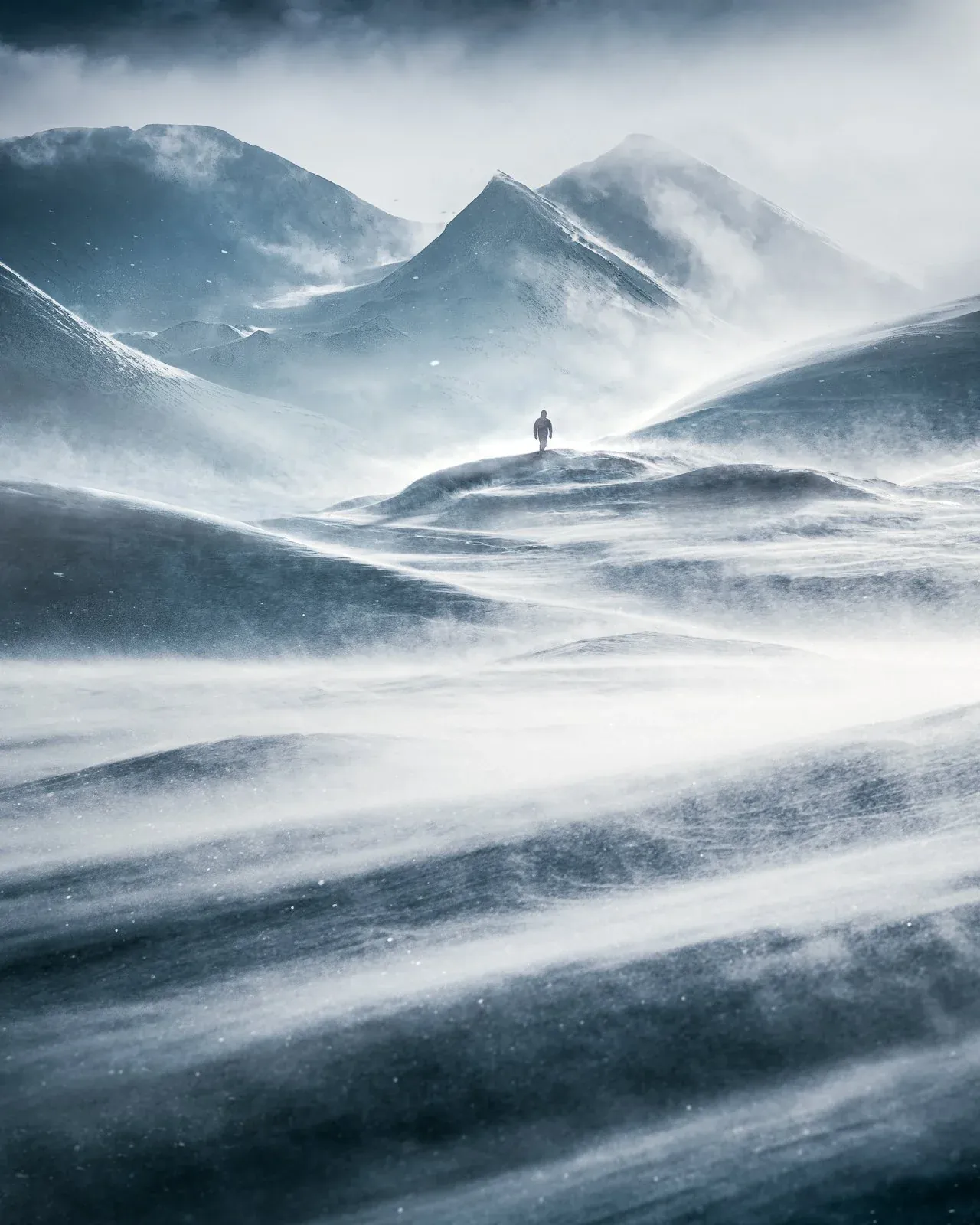 Windswept, a quiet nature photograph from the In The Solitude collection by Mikko Lagerstedt.