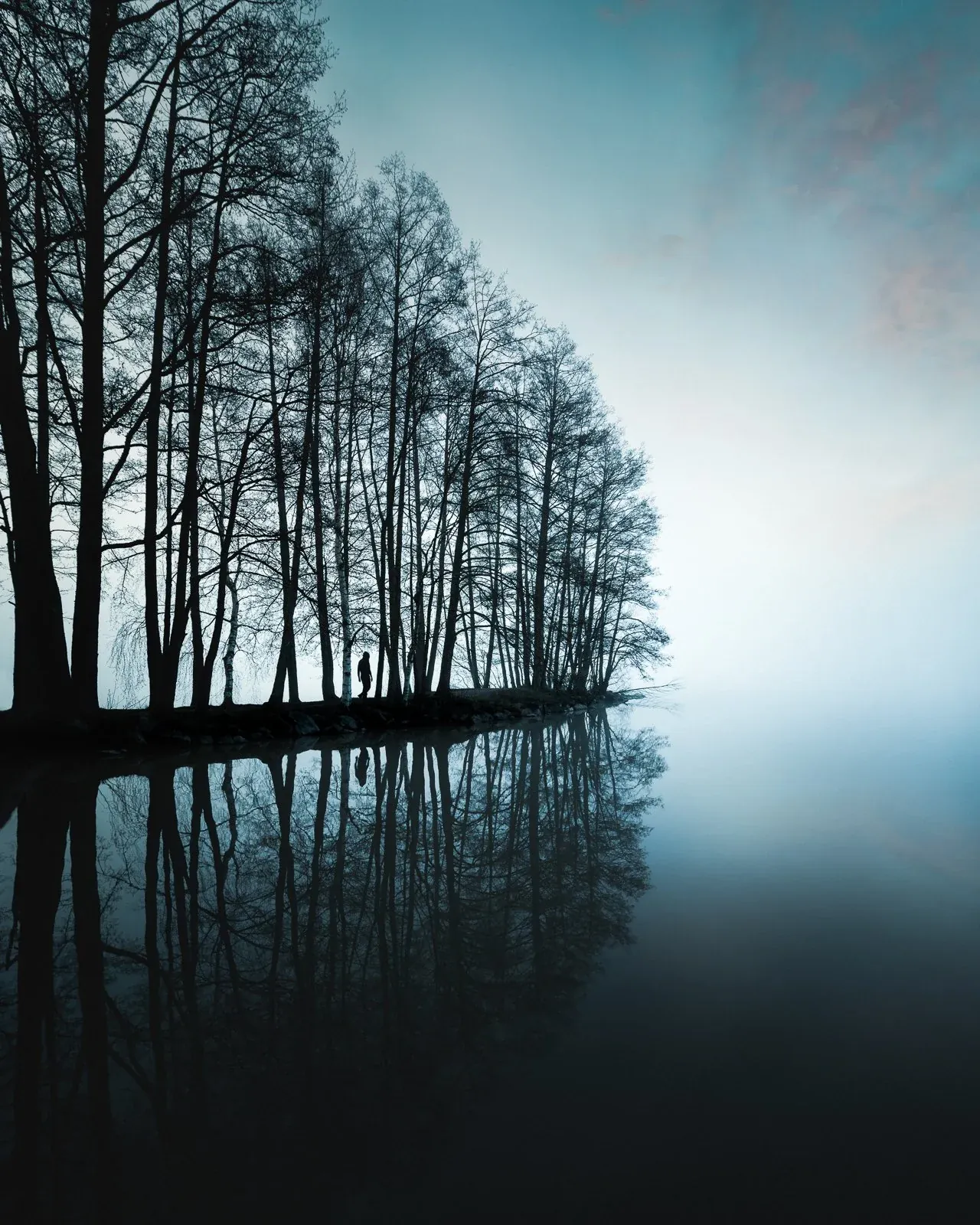 Early Morning Mist, a quiet nature photograph from the In The Solitude collection by Mikko Lagerstedt.
