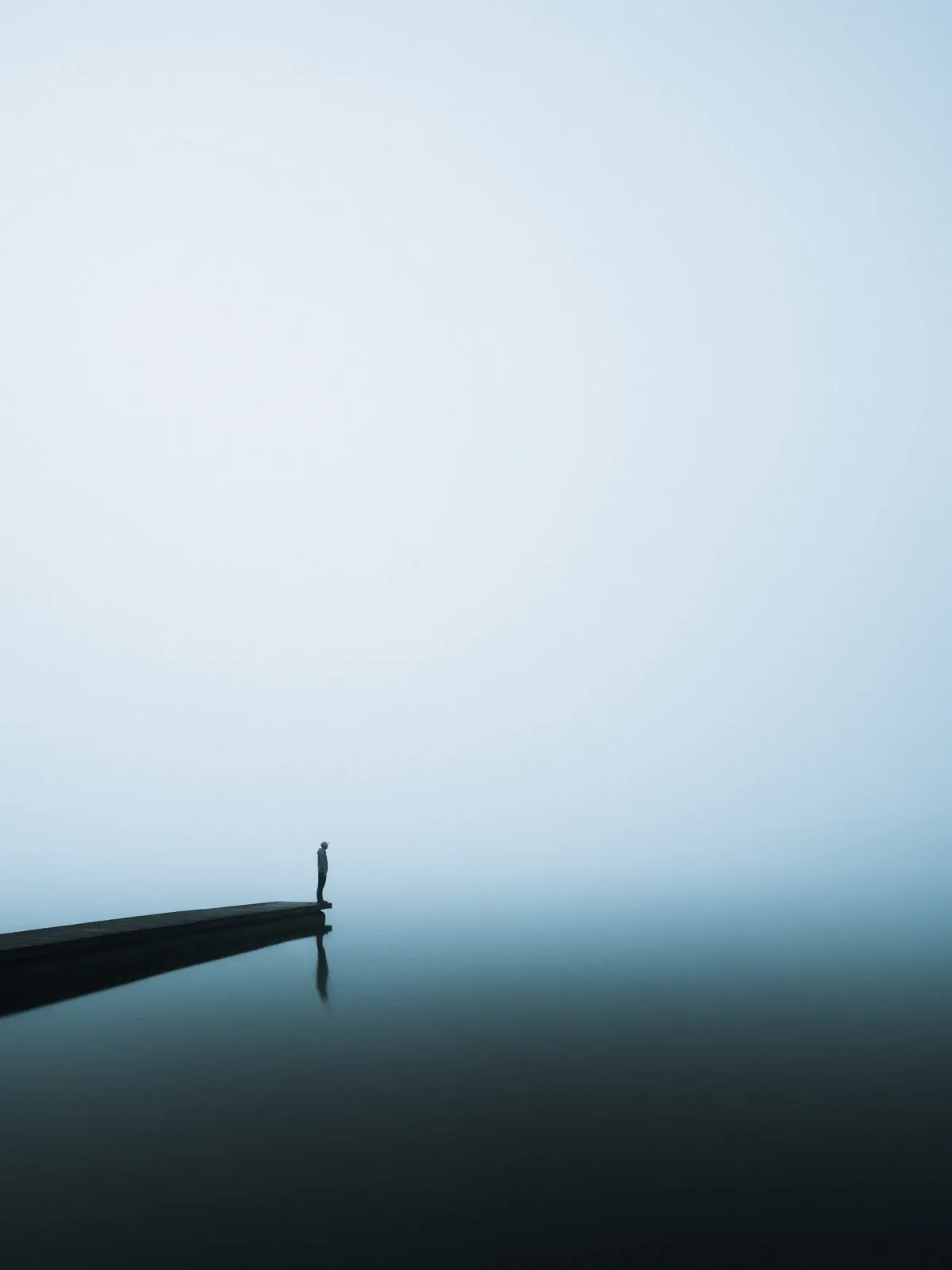 Searching, a quiet nature photograph from the In The Solitude collection by Mikko Lagerstedt.