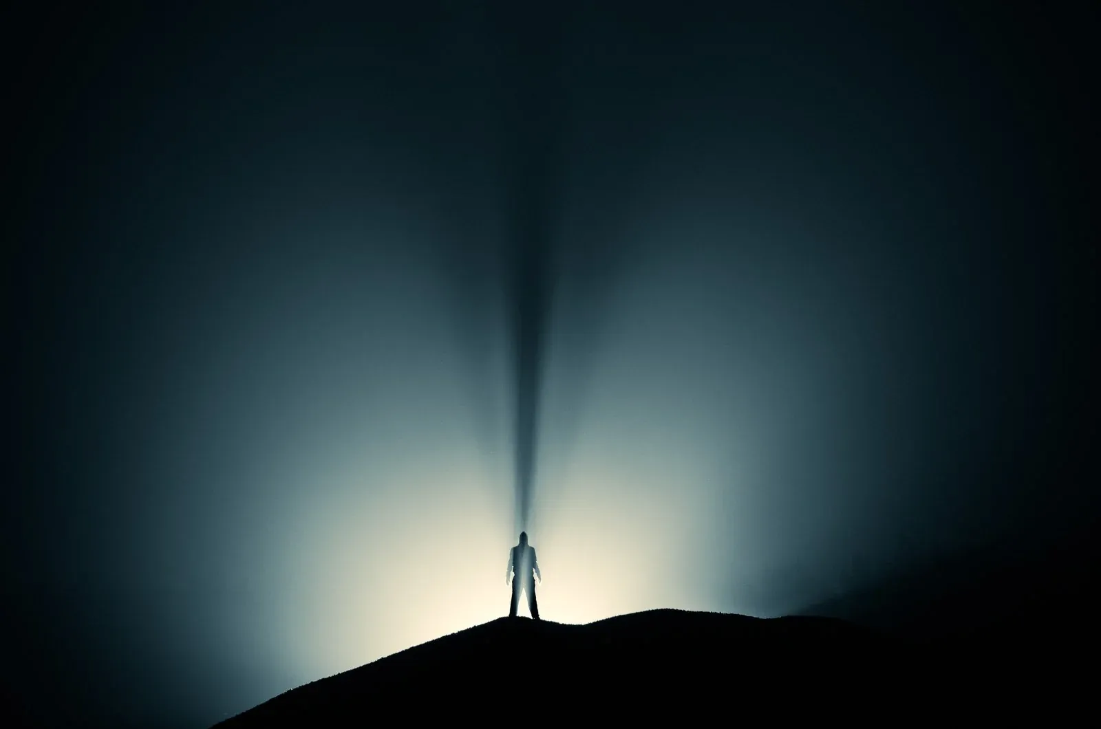 Stranger, a quiet nature photograph from the In The Solitude collection by Mikko Lagerstedt.