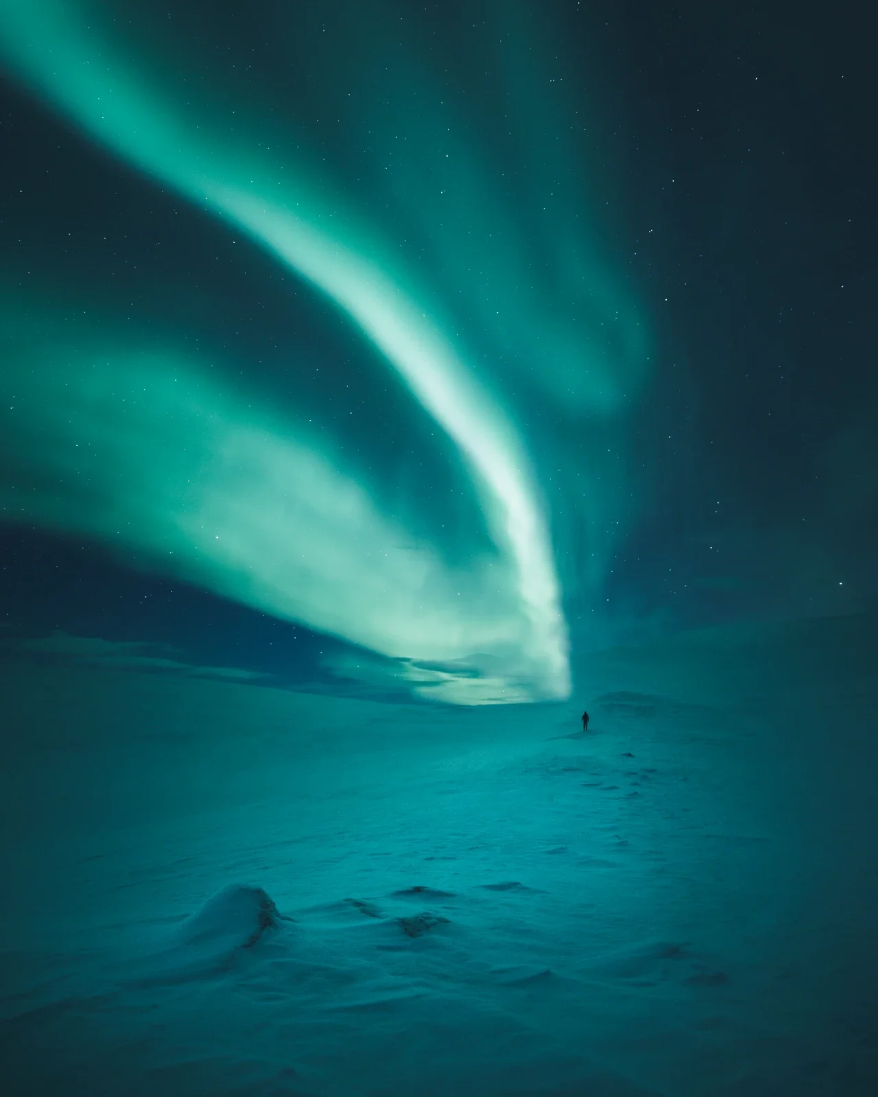 Borealis aurora editing system