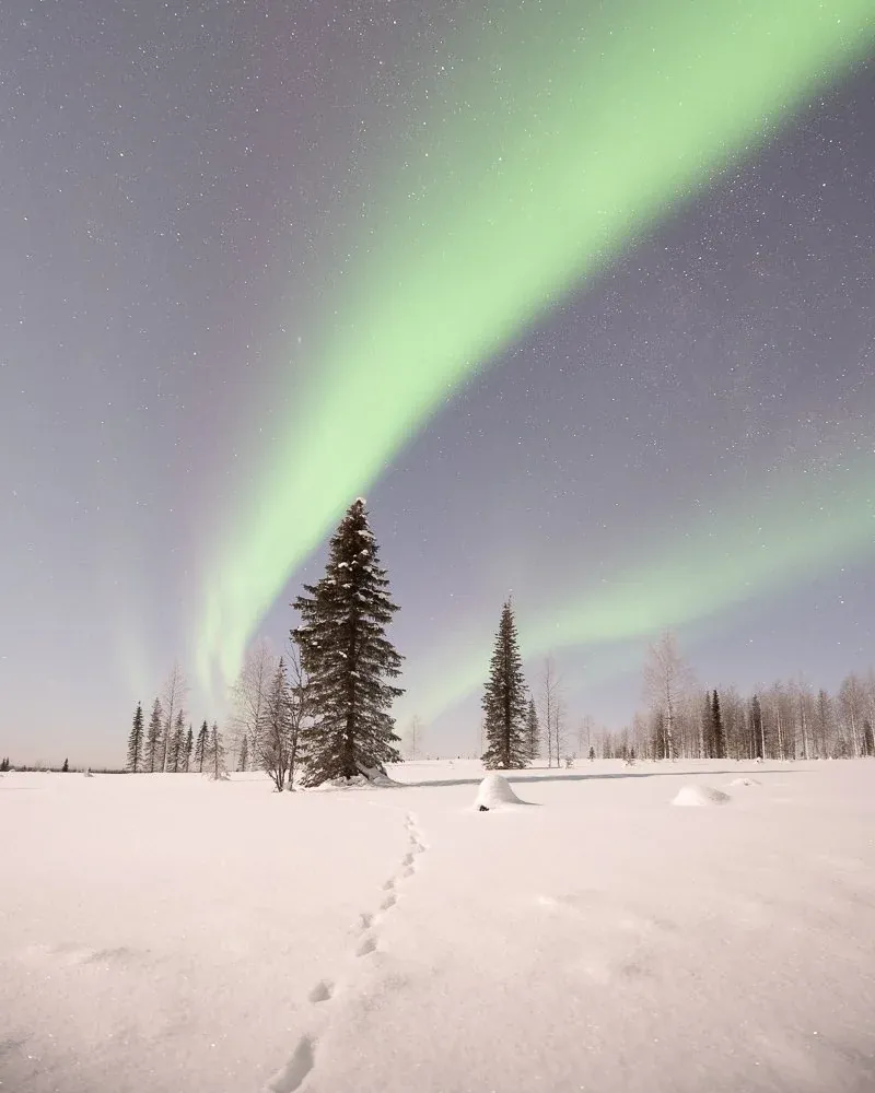 Before edit of a northern lights landscape before Borealis grading