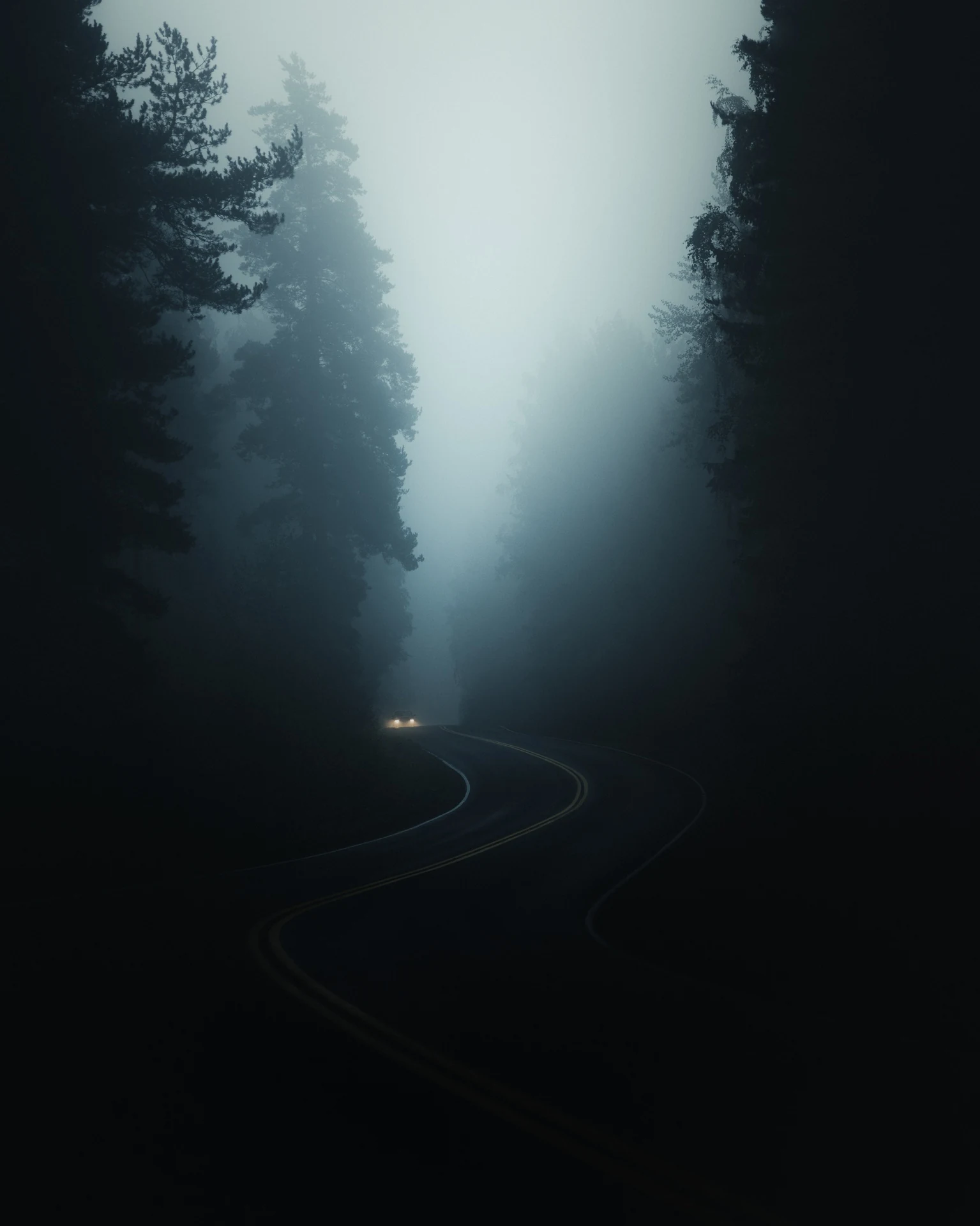 Foggy forest road with car headlights disappearing into atmospheric mist