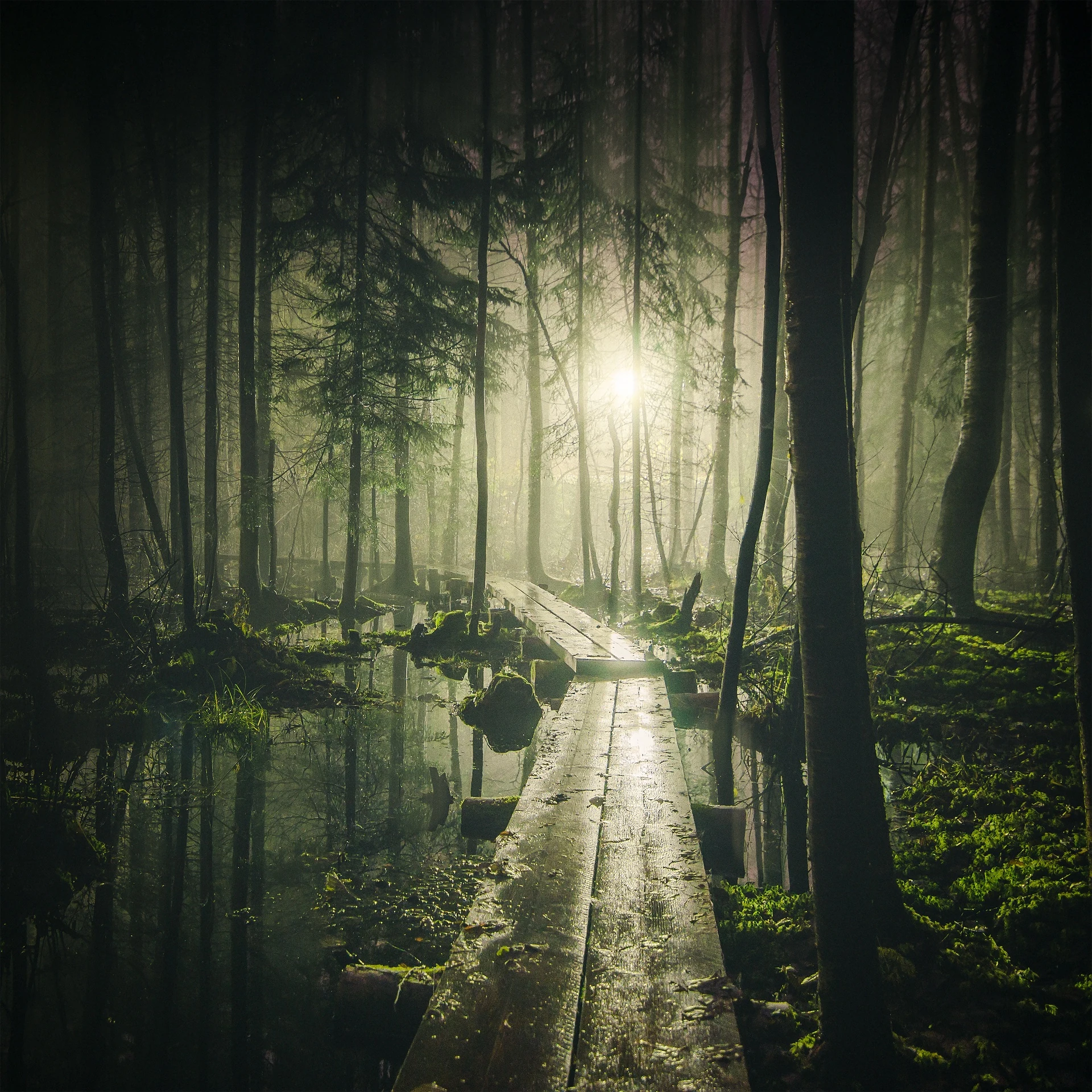Narrow snowy path disappearing into fog beside still winter water
