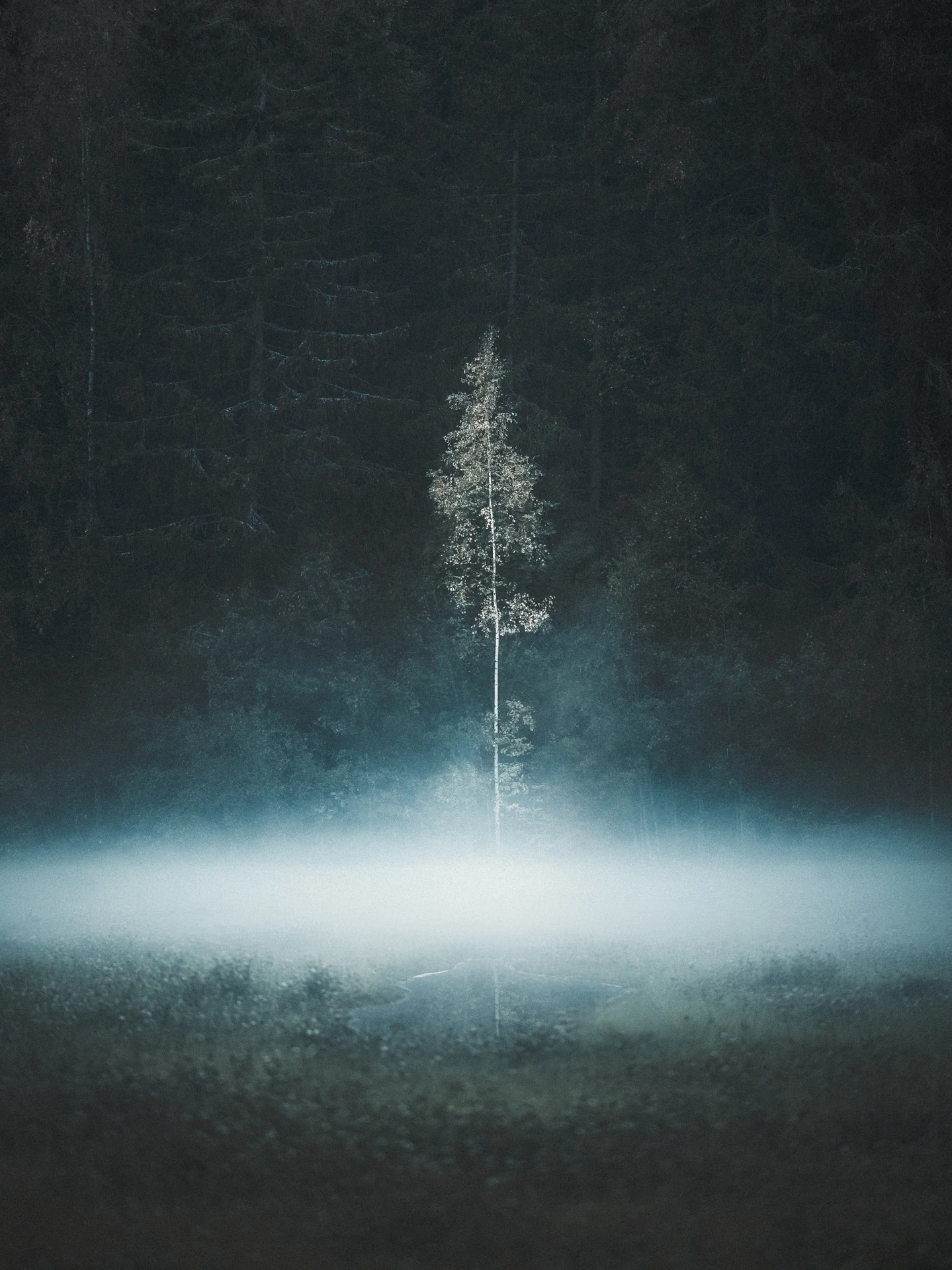 Quiet winter shoreline dissolving into pale mist