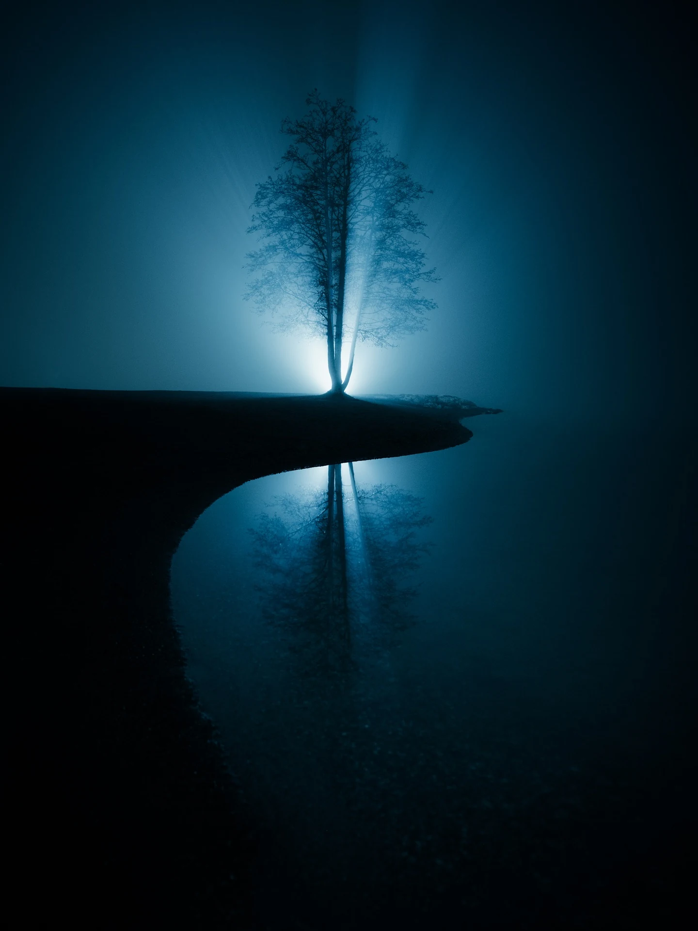 Backlit tree reflected in still water and luminous fog