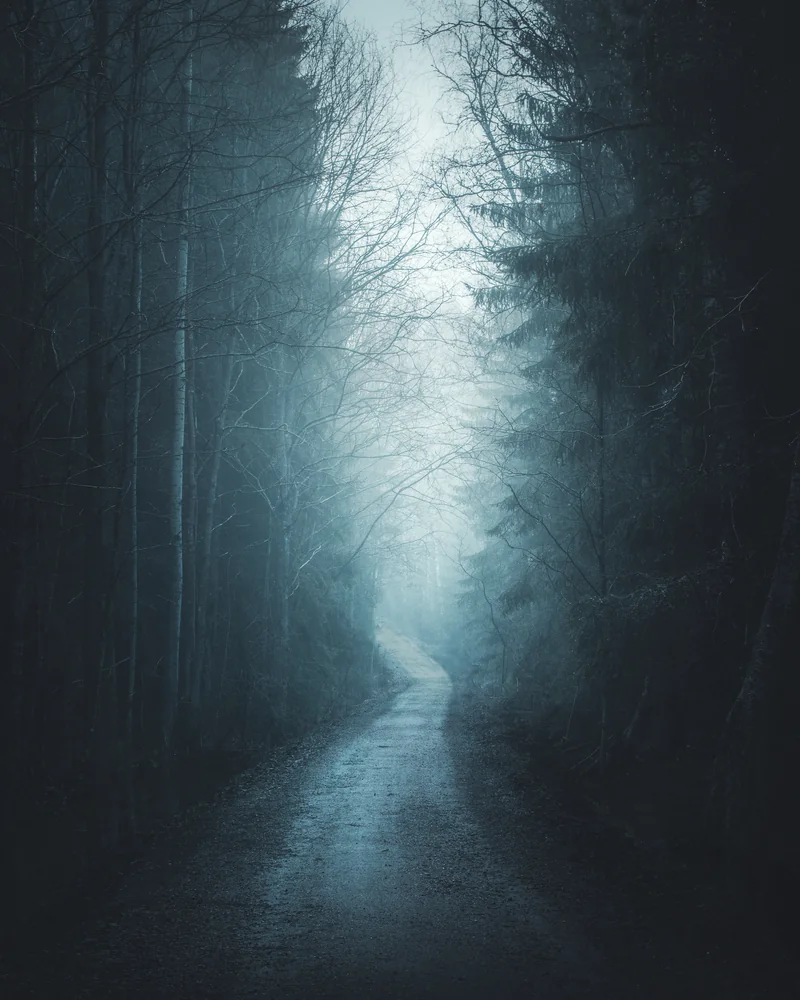 Quiet winter path leading through snow and bare trees
