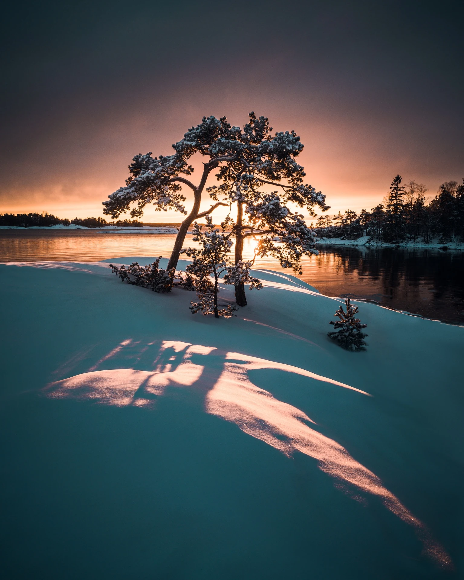 Small winter tree group glowing in soft sunset light beside open water
